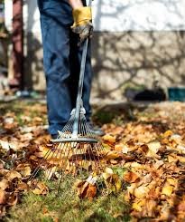 services grizaut ratissage des feuilles