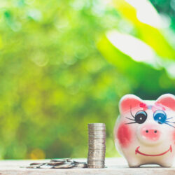 Avance Immediate Impot Vos Services A Domicile A Moitie Prix