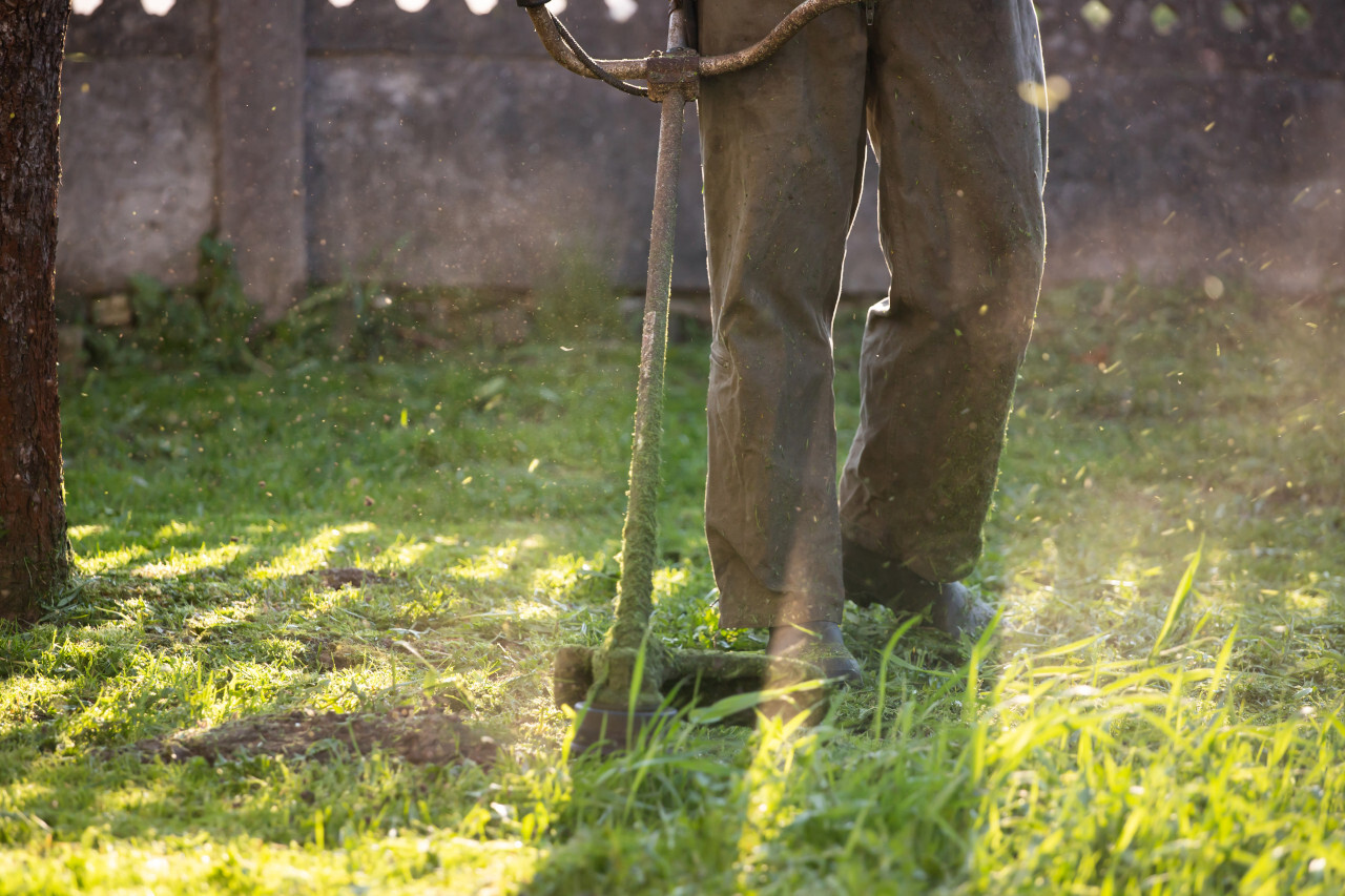 Jardinage plaisir déléguer pour ne garder que le meilleur