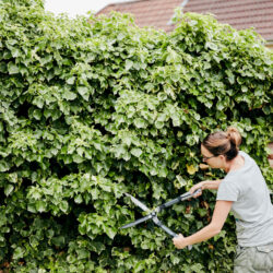 Jardinage plaisir déléguer pour ne garder que le meilleur