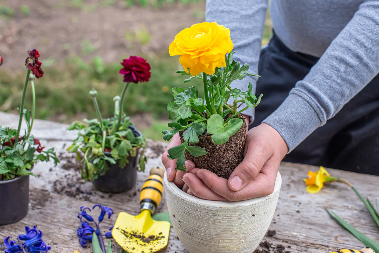 Jardinage plaisir déléguer pour ne garder que le meilleur