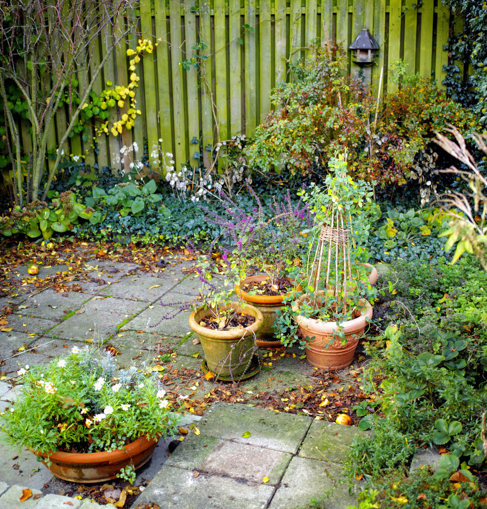 Pays De Retz 5 Etapes Pour Preparer Ton Jardin Cet Hiver 1