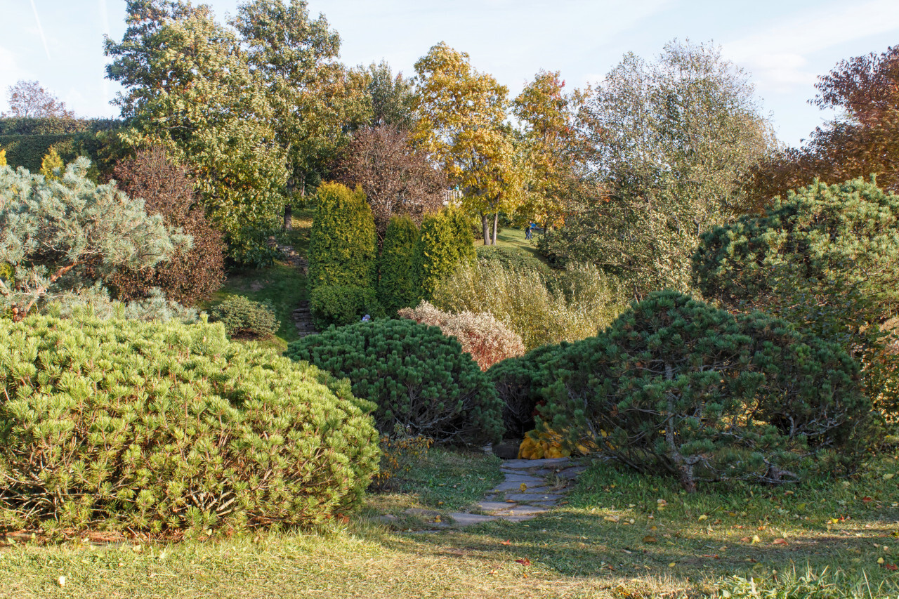 Pays De Retz 5 Etapes Pour Preparer Ton Jardin Cet Hiver